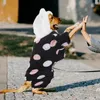 Vêtements de vêtements pour chiens pour animaux de compagnie veste chaleureuse vêtements