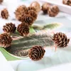 Fleurs décoratives 20pcs attrayants faux pin pins naturels simulation pinecone artificielle pour la décoration de la maison du festival