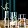 Vaser samtida glasvasdekorativa cylindrar för blommor och