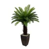 Dekorativa blommor Hxgysp Artificial Coconut Tree Plant Potted Tropical Palm with Plastic Pot Decoration Stora växter Hem inomhus utomhus