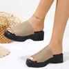 Slippers New Womens Modern Slide Design Square Toe Muffin Bool Shoes Outer Fashion Platform Welge High Heel 2023 H240409 QFH1