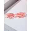 6pcs Femmes Cat Eye Y2K Personnalité Boho Sunglasses pour voyager Accessoires de fête en plein air