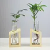 Vases Fashion Desktop Testing Tube en verre transparent Vase Nordic Wooden Bac Solder Hydroponic Plant Home Garden Container Decorat