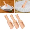 Ensembles de vaisselle 3 PCS Mini cuillères Desserts en bois en bois Salts de bain Salts de bambou Assaisonnement