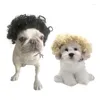 Dog Apparel Pet Wig Cat and Costaly adereços cobrem acessórios de capas