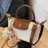 Maillard Style Fashion Bag 2023 Nieuwe dames crossbody dumpling tas herfst wintertortels en handtassen luxe ontwerper mini -tas