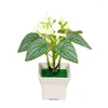 Dekorative Blumen künstlicher Anthurium Bonsai Topf Blumenpflanze gefälschte Home Office Gartendekoration