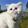 Collari per cani Accessori per collana di amore con perle regolabili per animali domestici Collare per gatti Forniture per toelettatura per gattini