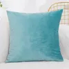 2024 Velvet Cushion Tampa travesseiro de colorido sólido travesseiro decoração de sofá -travesseiros de travesseiros da sala de quarto