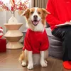 Appareils pour chiens Année de animal automne d'automne Hiver Proof Cold Grand Grand Golden Hair Border Collie Cat Vêtements en gros