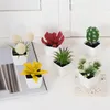 Fleurs décoratives 1set décoration de maison - 6 petites plantes succulentes succulentes 23005ZH6