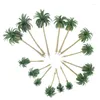 Flores decorativas nuolux 15pcs Modelo de cenário de coco Palmeiras de coco