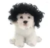 Dog Apparel Pet Wig Cat and Costaly adereços cobrem acessórios de capas