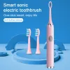 Tongwode Sonic Electric Toothbrush IPX7 Waterproof Adult Couple Home Use Soft Bristle Replaceable Tooth Brush Heads