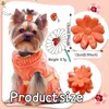 Appareils pour chiens 50pcs Accessoires de cheveux Clips pour petits chiens colorés colorés mignons Crown Girls Girls Pet Grooming Supplies