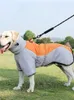 Odzież dla psa jesień zima w połowie rozmiar dużych dwóch łydki w dół bawełniany płaszcz Złote włosy Labrador Pet Wear