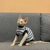 Odzież dla psa letnie bezwłose ubrania kota w paski bawełniany hipoalergiczny klimatyzowany pokój zawiesia cienkie sfinks devon