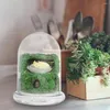 화병 2 PCS MOSS DIY 유리 음식 용기 뚜껑 뚜껑 홀더 병 검을 테라리움 장식 보로 실리케이션 미세 생태 학적