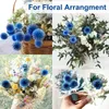 Dekorativa blommor 20 bollar torkad blå tistel bukett bevarad echinops globe blomma för bröllop boho heminredning diy blommor arrangemang