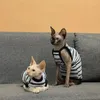 Abbigliamento per cani estate abiti da gatto senza peli di cotone a strisce ipoallergenico aria condizionata imbracatura sottile sfinga devon