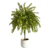 Decorative Flowers Artificial Cedar Trees In Natural Ceramic Pot By