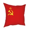 ソビエト連邦の枕カバーの枕カバーリビングルームポリエステル両側印刷のためのホーム装飾カバーカバー