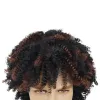 Wigs GNIMEGIL Synthetic Wigs for Men Short Hair Curly Wig with Bangs Natural Wig Afro Hairstyle Male Brown Wig Halloween Costume Wigs