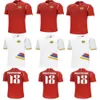 24/25 Armenia Comfortable and tear resistant to wear soccer jerseys adults home match jersey training uniform Men football shirts technical sportswear