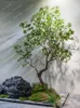 Simulation de fleurs décoratives en bois ivre intérieur décoration douce paysage salon courte arbre imitatif costume