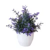 Decorative Flowers Artificial Potted Small For Shelf Green In White Plastic Pot Home Bathroom Decor Faux Wedding Stage Decorations