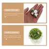 Decorative Flowers Mini Planter Vase Green Scenery Landscape Model Layout Simulation Decor Artificial