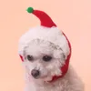 Ubrania dla psów 1 zestaw kreatywnego świątecznego kapelusza zima