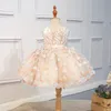 Blumenmädchenkleider für Hochzeit Tüll Stickereien Perlen Spitze 3d Blumen Mädchen Festzug Kleid gestufte Rock Kinder Geburtstagskleider Frist Holy Communion Geburtstagskleider