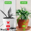 5st Ny Hållbar plastfatstefat 15/25/30 cm Runda droppväxtbrickor Flower Pot Indoor Home Home Garden Supplies