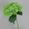 Flores decorativas delicadas de flores artificiais e ecologicamente corretas, não murchas de seda de pegadas grandes hortênsias