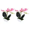 Decorative Flowers 2 Pcs Simulation Phalaenopsis Faux Potted Flower Fake Plant Bathroom Decorations Artificial Bonsai Plants Small