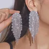 Stud Earrings Bling Zircon Rhinestone Claw Chain Luxury Exaggerated Ear Fashion Long Tassel Crystal Drop Dangle Earring Women