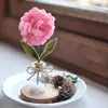 Decorative Flowers Traditional Felt-making Methods Handmade Felt Flower Set For Diy Crafts Mother's Day Gift Wedding Favors Mini Carnation