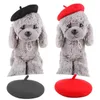 Dog Apparel Cute Pet Hat Beret Fashion Designer Winter Hats Painter Wool Cap Headwear Warm Headgear Mini Decorative Solid Color