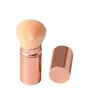 Beauty makeup blogger recommends mini telescopic makeup brush blush brush fiber wool aluminum tube loose paint beauty tool set
