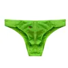 Mentille des calendriers Sexy Underwear Bikini Shorts plage Soft Calzoncillos Hombre Socch ondergoed Mannen