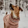 Veste de vêtements pour chiens Veste d'hiver étanche avec une laisse Viete chaude pour les gros chiens Bordeaux de protection de poitrine Clothing Pet Taded