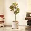 Fiori decorativi 120 cm grandi finte ficus ficus albero artificiale piante di gomma tropicale in plastica foglie di codeeo foglie autunnali per arredamento da giardino domestico