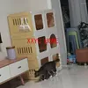 Kattendragers thuiskooien kattenbak geïntegreerd transparante villa indoor hek kast met gesloten toilet huisdier