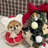 Dog Apparel Pet Dogs Christmas Hood Cape Winter Warm Cloak With Plush Ears Clothes Accessories For Small Medium