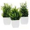 Flores decorativas 3 PCS Decorar Oficina de plantas en macetas simuladas falsas Fern Sheem PP Adornos artificiales