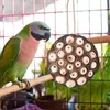 Diğer Kuş Malzemeleri Çiğneme Toys Lotus Podshapped Papağan ısırma Perakeet Doğal ve Oyuncak Oyuncak Cockatiel Entertainment