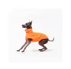 Dog Apparel Pet Clothing: Italian Little Lingti Whitbit Bellington Sun Protection Mosquito Repellent And Street Racing Vest