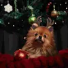 Vêtements pour chiens de Noël pantalon de compagnie de fête pour chaton clips clips coiffure bandeau de bande de coiffure