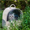 Portadores de gatos portátil gatinho transportar saco kawaii transportador respirável transportando gatos mochila de saída única menina suprimentos para animais de estimação